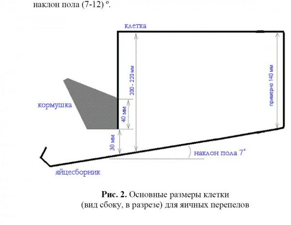 Клетку для перепелок своими руками Клетку для перепелок своими
